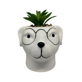 Mini Planta Vaso Porcelana Cachorro culos